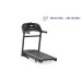 Horizon Treadmill T202 SE Zwift!!
